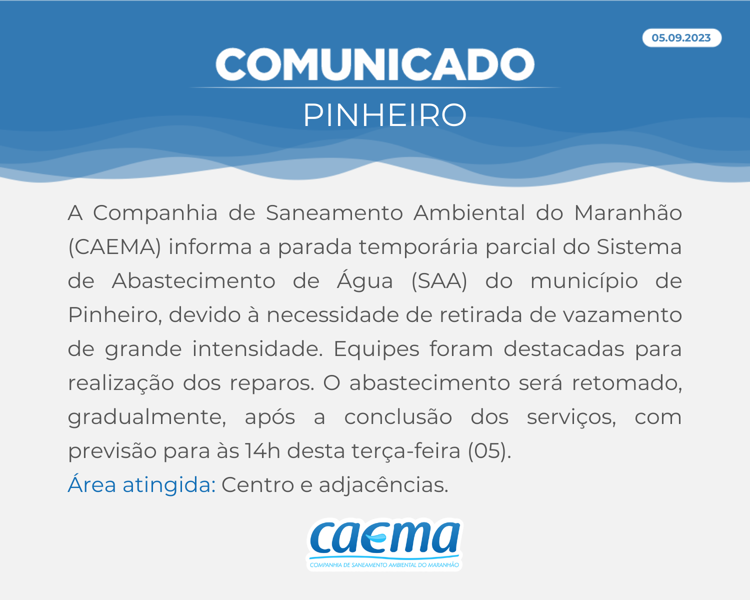 pinheiro_0509