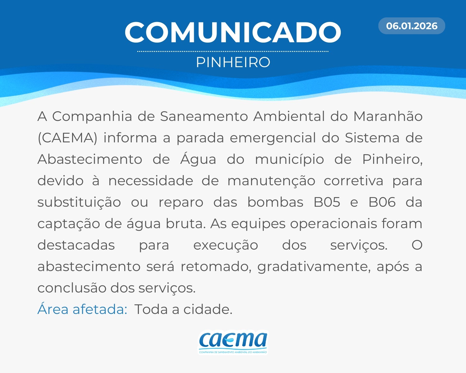 pinheiro_0601_002